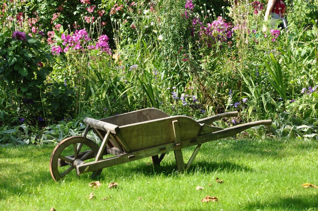 Old wooden wheelbarrow in a flower garden.
