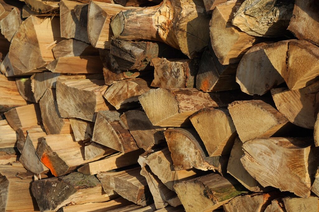 A pile of firewood.