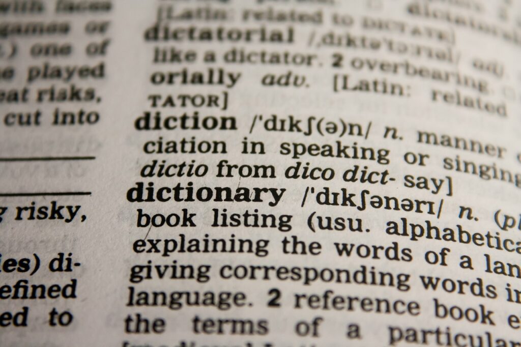 The word dictionary in the dictionary.