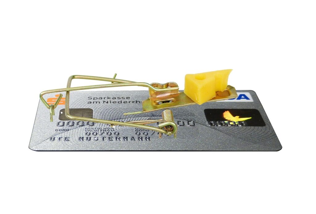 Mouse trap with a credit card as the base, along with cheese as bait.