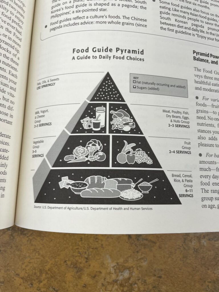 The Food Guide Pyramid.
