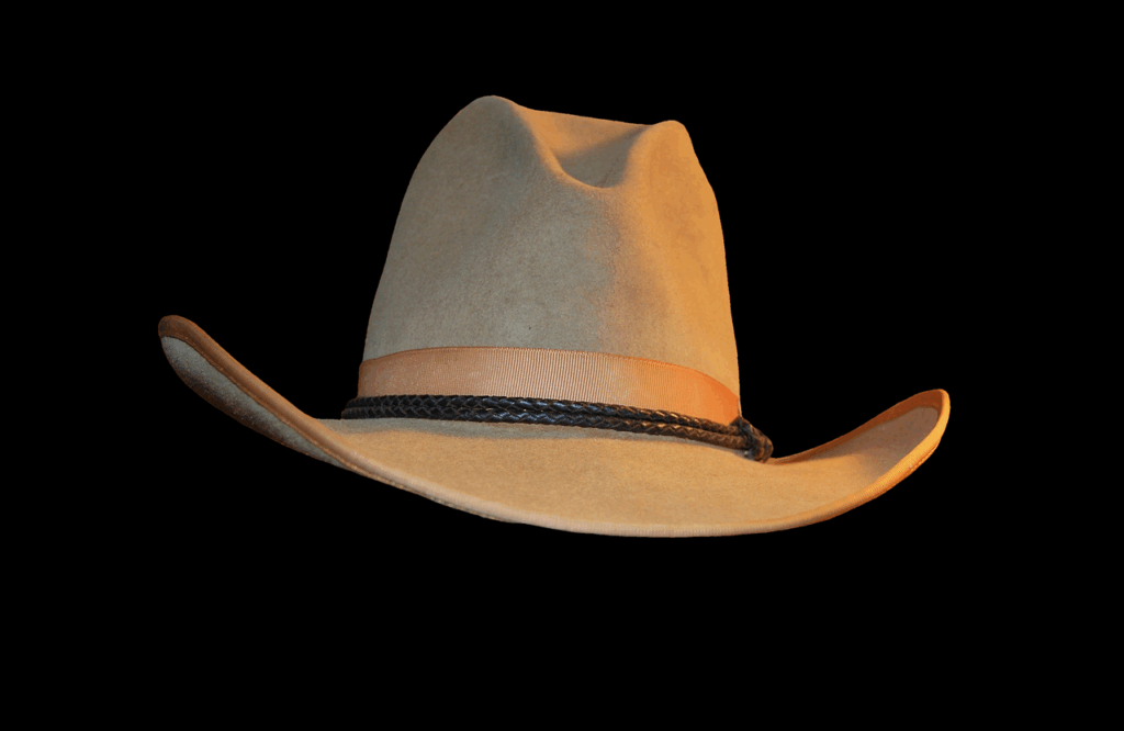 Cowboy hat.
