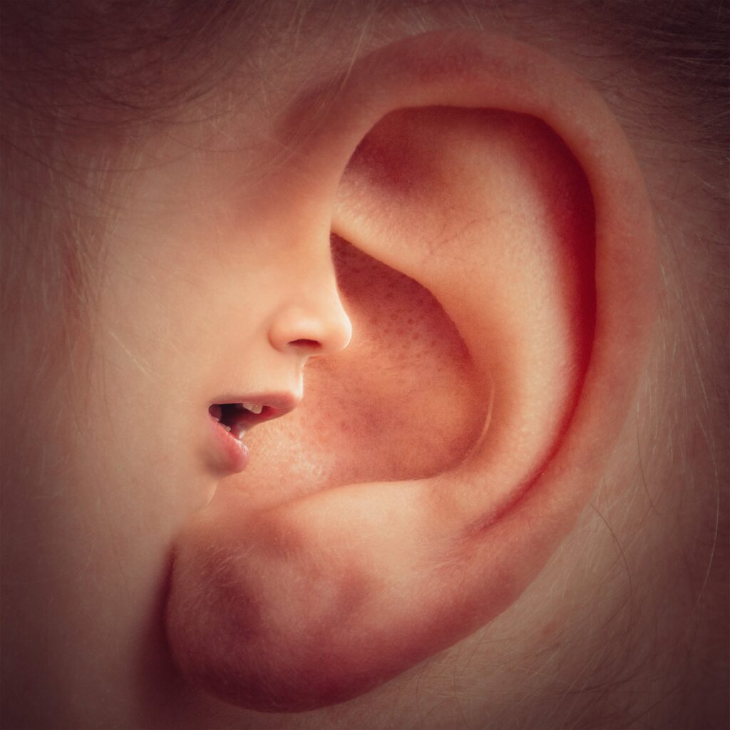 A woman's nose and mouth speaking into a man's ear.